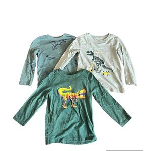 Toddler boys long sleeve dinosaur t-shirts size 4T